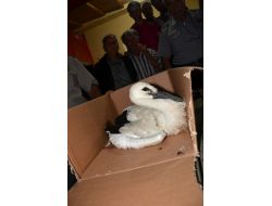 Köylüler, Yaralı Leylek İçin Seferber Oldu