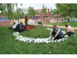 Palandöken, 60 Bin Çiçekle Renklendi