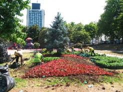 Gezi Parkı'nda yenilenme sürüyor