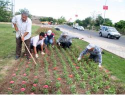Elazığ'a 700 Bin Çiçek Dikildi