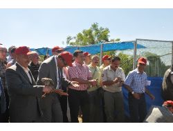 Bozüyük'te 500 Kınalı Keklik Doğayla Buluştu