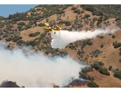 Aydın'daki Yangın Kısmen Kontrol Altına Alındı