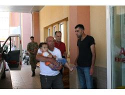 Düğüne Giden Minibüs Erzincan'da Şarampole Uçtu: 11 Yaralı