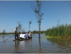 Türkiye'nin En Büyük Longozundaki Kuruyan Ağaçlar Araştırılıyor