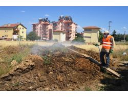 Acıpayam'da Haşre İle Mücadele Çalışmaları Devam Ediyor