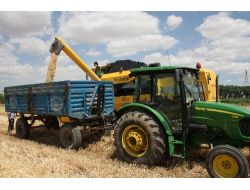 Elbistan Ovası'nda Hasat Heyecanı Yaşanıyor