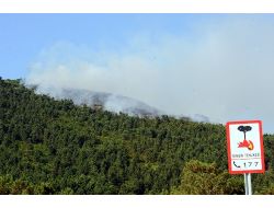 Bakan Eroğlu: Orman Yangınlarının Yüzde 90'ı İnsan Kaynaklı, Dikkatli Olalım
