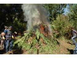 Diyarbakır'da Uyuşturucu Operasyonları Devam Ediyor