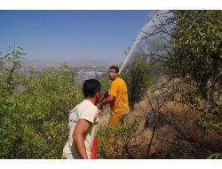 Afyonkarahisar'da Yangın: 10 Dönümlük Dikili Alan Zarar Gördü