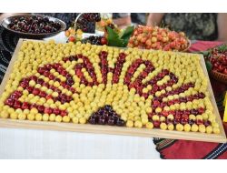 Bulgaristan'daki Kiraz Bayramı Renkli Görüntülere Sahne Oldu