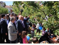 Kayısı Bahçesi, Piknikçilerin Kullanımına Açıldı