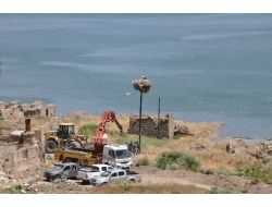 Yuvaları Baraj Sahasında Kalan Leylekler Korumaya Alındı