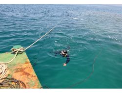 Başkan Çimenoğlu, Platforma Çıkarak Çalışmaları İnceledi