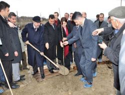 Kaymakam Önderlik Yaptı, Köye Bin Adet Ceviz Fidanı Dikildi
