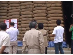 Taylandlı Çiftçi Hükümete Bir Hafta Verdi‏