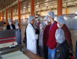 "antalya'da Günlük 150 Bin Sağlıksız Ekmek Üretiliyor"