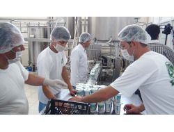 Adilcevaz’da Kurulan Süt Fabrikası İstihdama Büyük Katkı Sağlıyor