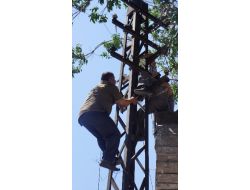 Tamir İçin Çıktığı Direkte Elektrik Çarpması Sonucu Hayatını Kaybetti (Özel)