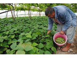 Mzo, Nitelikli Tarım İçin Danışman İstihdamına Başladı