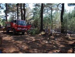 Kazdağları'nda Yangın