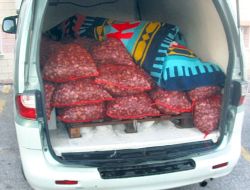 1 Ton 614 Kilo Kaçak Midye Ele Geçirildi