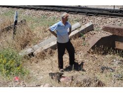 Trenin Çarptığı İneklerden Üçü Telef Oldu