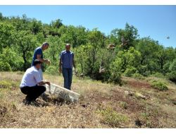Tunceli’nde Doğaya 400 Keklik Bırakıldı