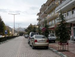 Elmalı'da Caddeye Araç Parkı Yapan Esnafa 160 Tl Ceza Kesilecek