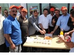 Muş Özel İdaresi, Asfalt Sezonunu Başlattı