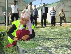 Orman Bölge Müdürlüğü Yeni Evlenen Çiftler İçin Orman Kuracak