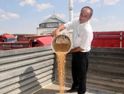İlahiyat Fakültesi İçin 'Bir Tuğla Da Senin Olsun' Kampanyası