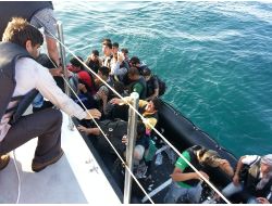 KAÇAKLARIN CAN PAZARI