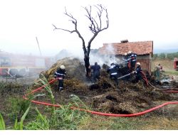 Ahır Yangınında 3 Büyükbaş Hayvan Telef Oldu