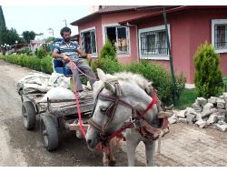 At Arabasına Berber Koltuğu Taktı