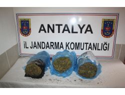 Jandarmadan Esrar Operasyonu