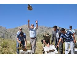 Kınalı Keklikler Doğayla Buluştu