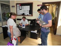 Yaralı Martılara Belediye Sahip Çıktı