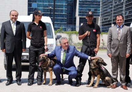 Narkotik Köpekler Sertifikalarını Aldı