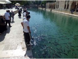 Niğdeli Gençler, Şanlıurfa’da