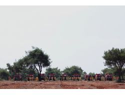 Köylü Geçen Yıl Orman Dışı Üründen 112 Milyon Lira Kazandı