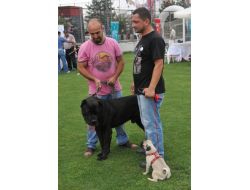 Irk Standartları Yarışmasında En Yaşlı Onur Ödülü Ve Birincilik Kangalın