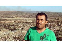 Midyat’ta Orman Yangını