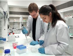 Gediz Üniversitesi Nanoteknoloji Laboratuvarı'nda Kanser Aşısı Araştırılıyor