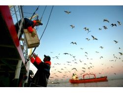 İç Sularda Av Yasağı Sona Erdi