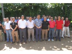 Cizre’de Minibüsçüler '4 Yolcu' Kararına Tepki Gösterdi