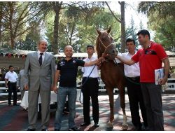 Tay Satışından 1 Buçuk Milyon Lira Gelir