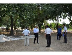 Mergen Mesire Alanı Düzenleniyor