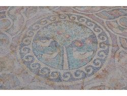 Amasya’da 2 Bin Yıllık Elma Ve Keklik Desenli Mozaik Bulundu