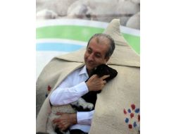 Islah Projesi, Türkiye'de Koyun Ve Keçi Sayısını Artıracak