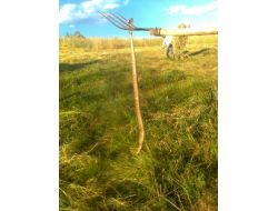 Köylüye Saldıran 3 Metrelik Yılan Etkisiz Hale Getirildi